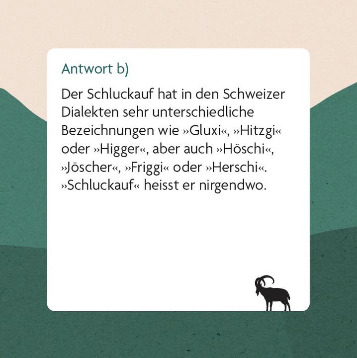 Actual product image Swiss dialect quiz (German)