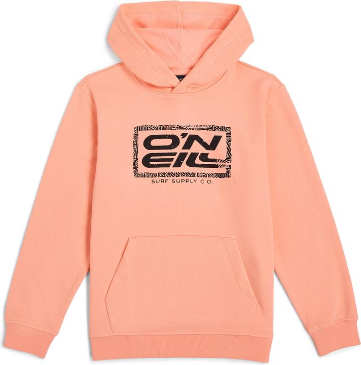 Coral Pop