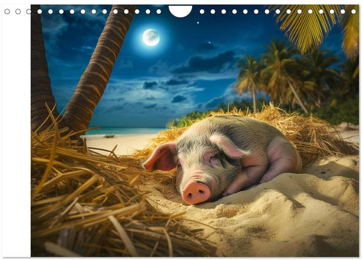Actual product image Pigs in the Caribbean. Sun and spa with swimming pigs (Wall calendar 2025 DIN A (A4, No binding, German)