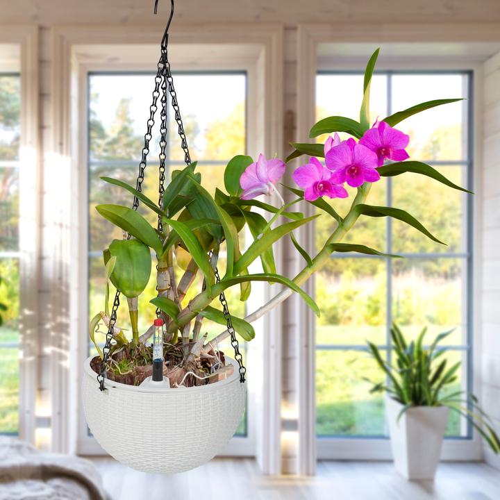 Actual product image Relaxdays 2x pots de fleurs (18.50 cm)