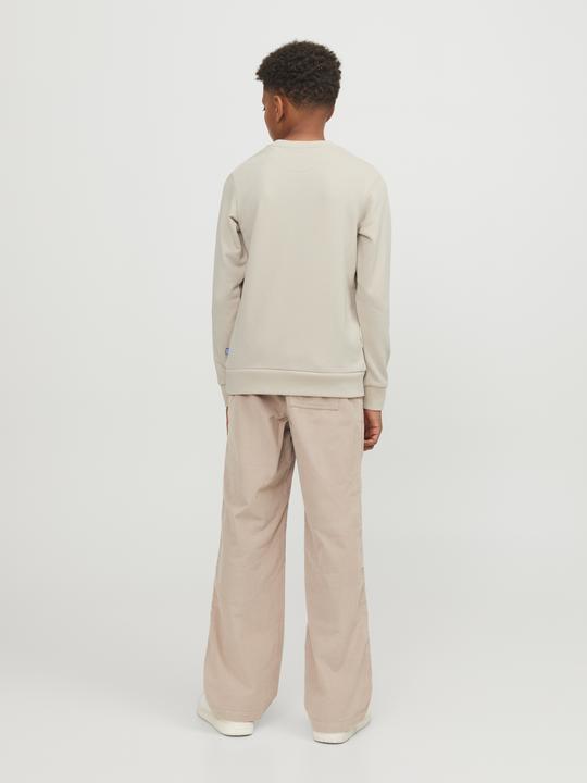 Image du produit Jack & Jones Sweat-shirt garçon (152)