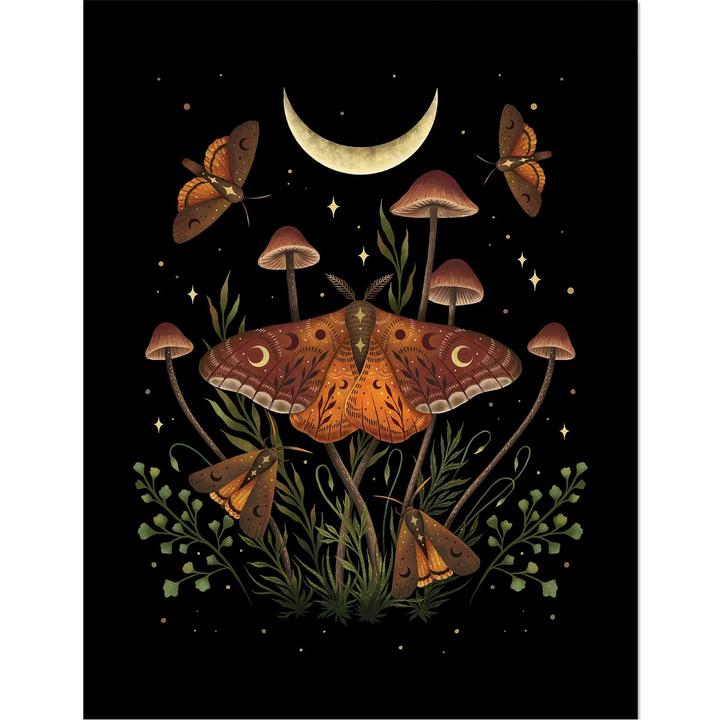 Image du produit Episodic Drawing - Poster encadré AUTUMN LIGHT UNDERWINGS (45 x 35 cm)