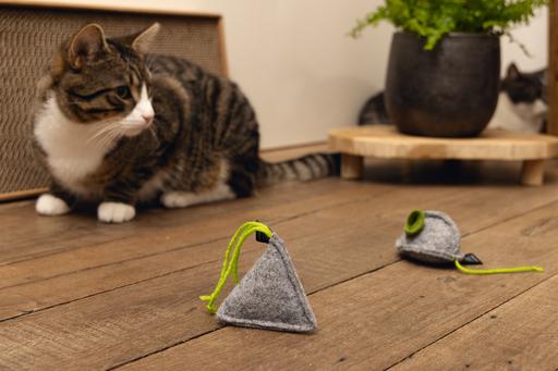 Produktbild Beeztees Minus One Katzenspielzeug Maus (Katzenminzespielzeug)