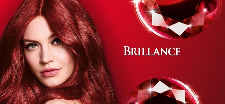 Actual product image Schwarzkopf Brilliance (876 fine mahogany)