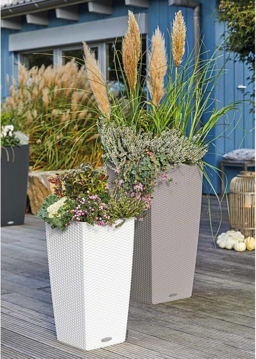 Image du produit Lechuza Cottage Cubico (29.50 cm)