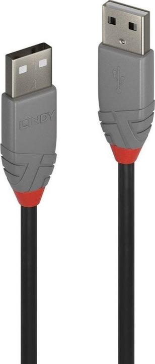 Actual product image Lindy USB/A-USB/A M-M (5 m, USB 2.0)