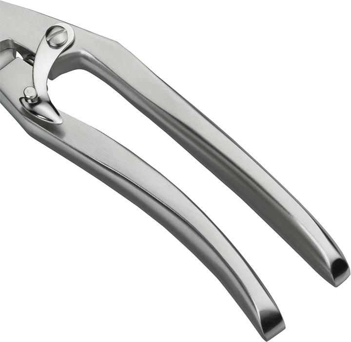Actual product image WMF Poultry shears