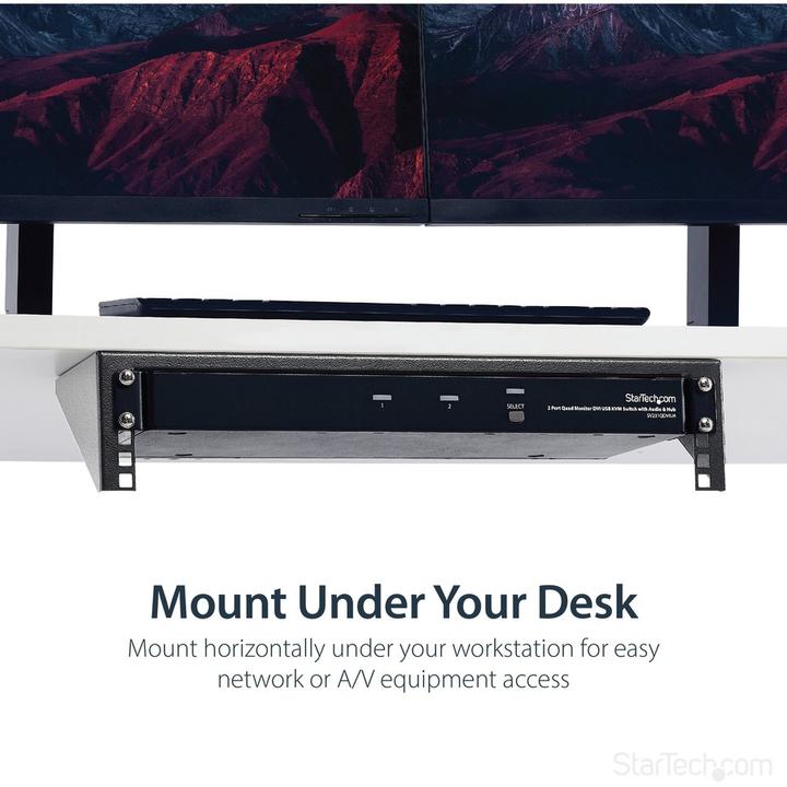 Actual product image StarTech RK219WALLV