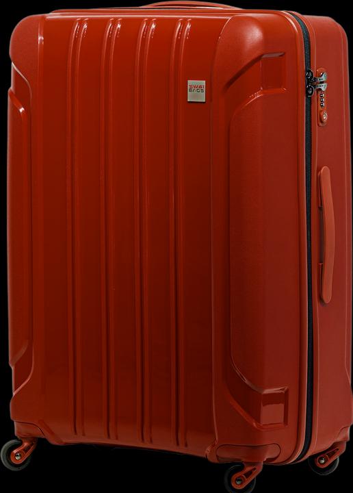 Actual product image Swissbags Tourist (110 l, L (90 - 115l))