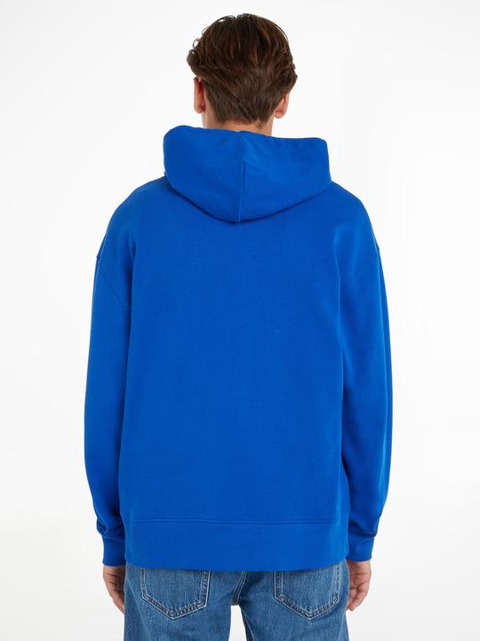 Image du produit Tommy Jeans Tjm Rlx Badge Zipthru (52)