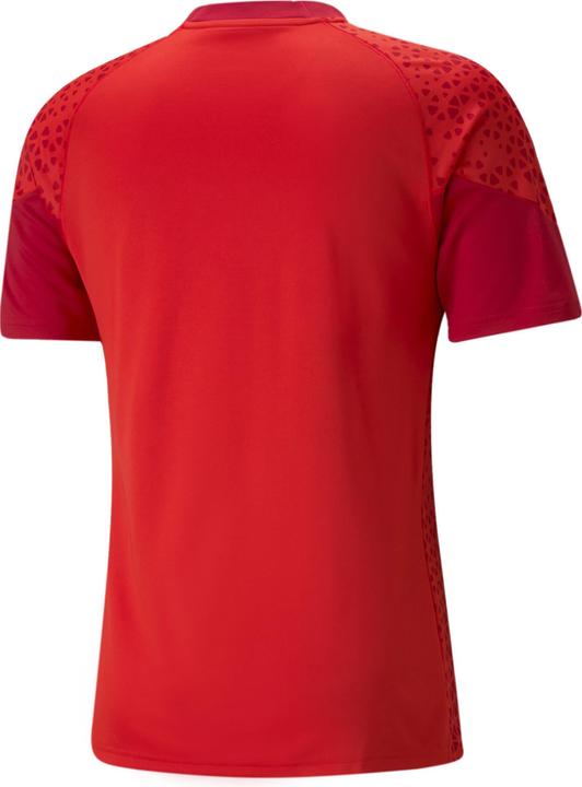 Actual product image Puma teamCUP Training Jersey (L)