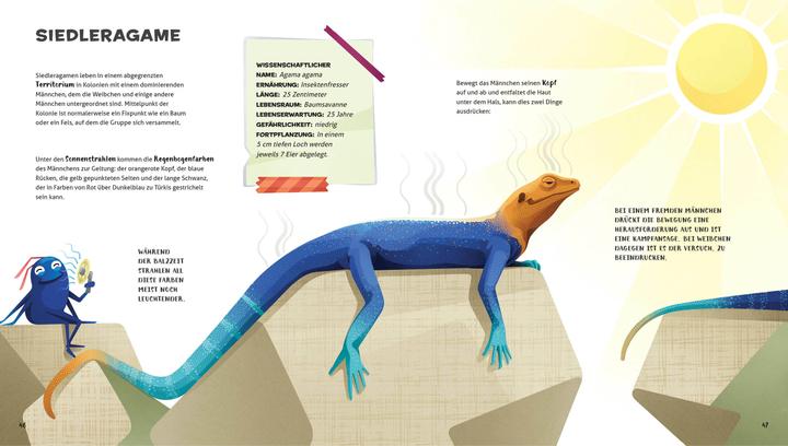 Actual product image National Geographic Besonders und wunderbar: Reptilien (German, Cristina Banfi, Claudia Theis-Passaro, 2021)