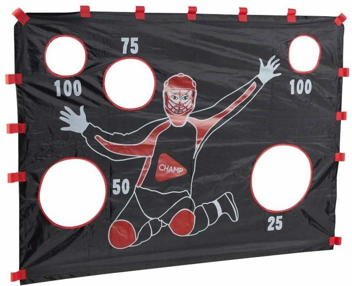 Hudora Torwand