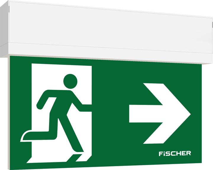 Image du produit Fischer Lampe à pictogramme LED