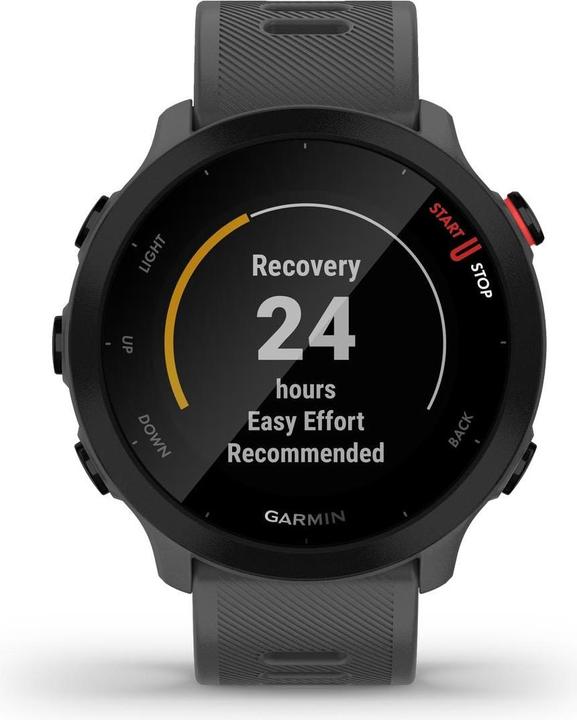 Immagine prodotto Garmin Forerunner 55 (42 mm)