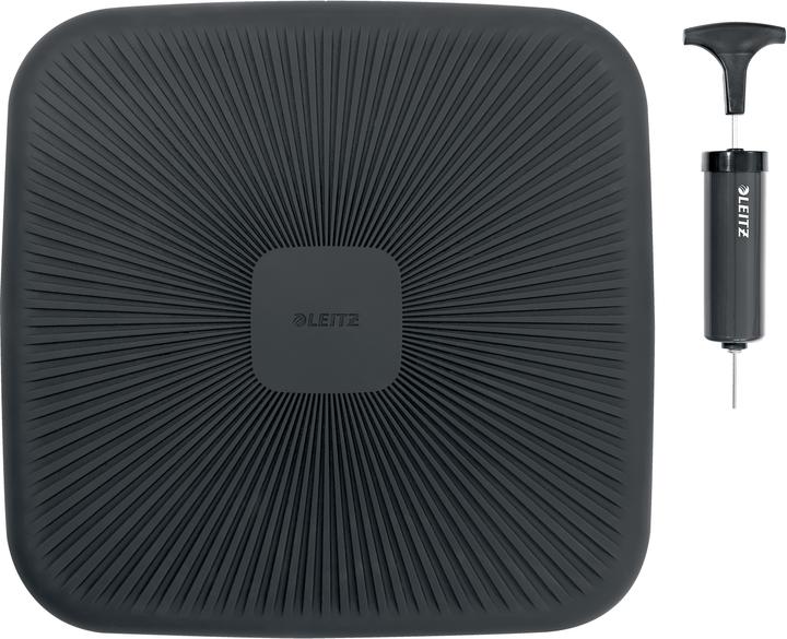 Actual product image Leitz Ergo (36 x 36 x 5.5 cm)