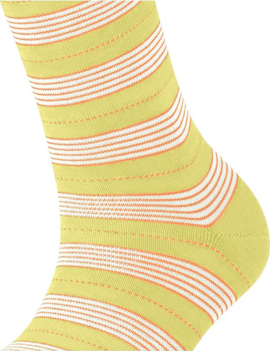 Image du produit Falke Stripe Uniform SO (35 - 38)