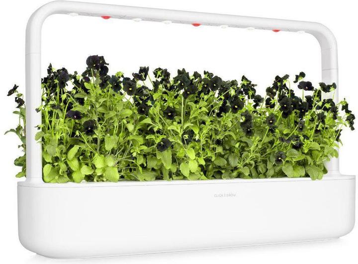 Image du produit Click and Grow Coussinets de plantes de pensées noires (Graines de fleurs)