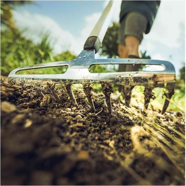 Actual product image Fiskars Xact Rose Rake S