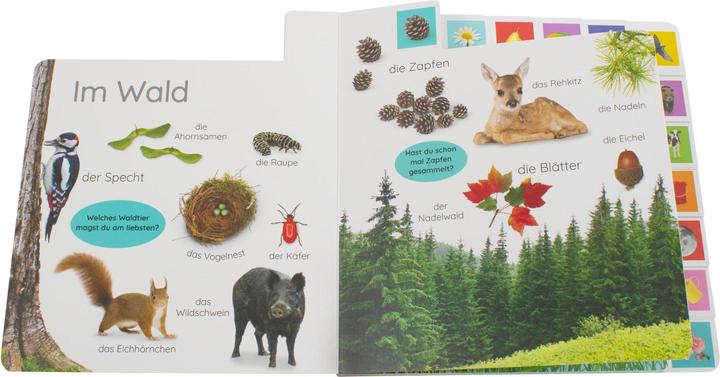 Actual product image Erstes Lernen. In der Natur (German, DK Verlag - Kids, 2021)