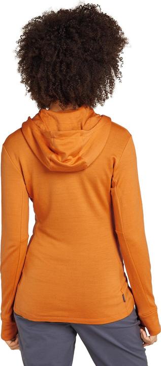 Actual product image Icebreaker Women Merino Mer 260 Quantum IV LS Zip Ho (S)