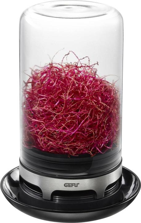 GEFU Bivita rung glass