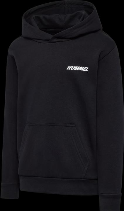 Actual product image hummel hmlCASPER HOODIE (146)
