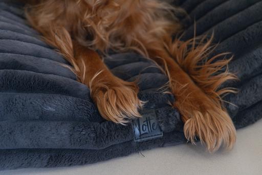 Produktbild Designed by Lotte Liegekissen Reza (Hund)