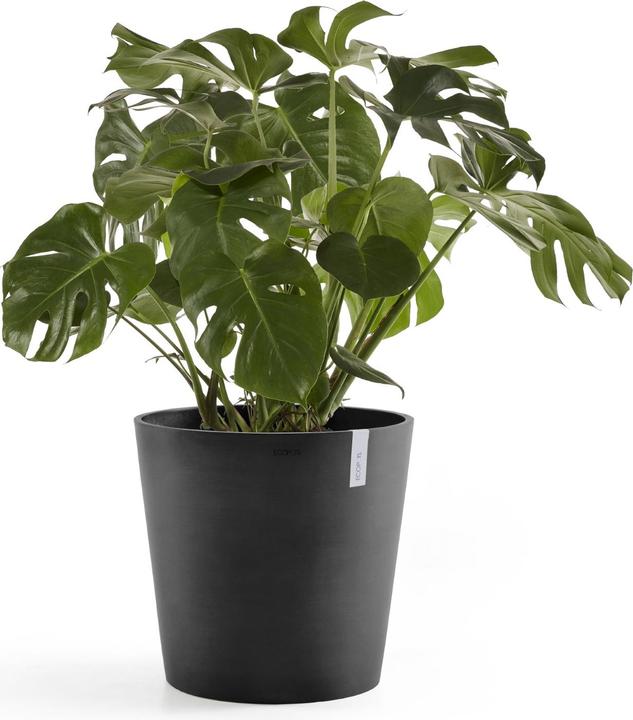 Immagine prodotto Ecopots Amsterdam + serbatoio dell'acqua (50 cm)
