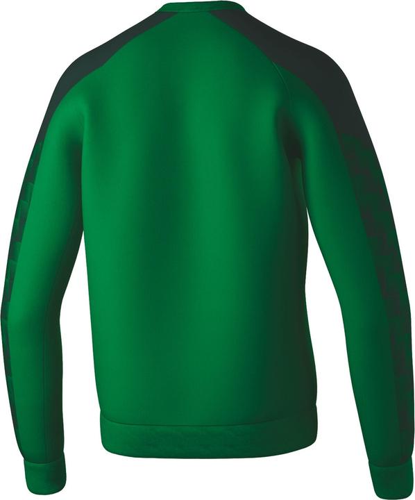 Image du produit Erima Sweat-shirt Evo Star (164)