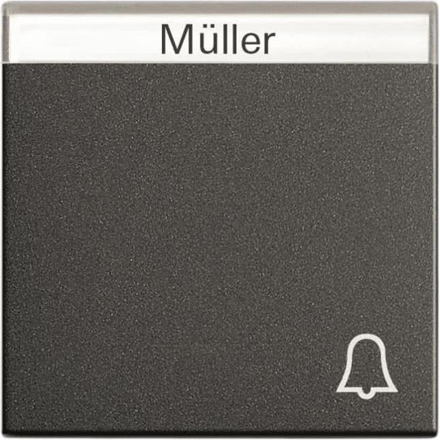 Actual product image Gira Rocker bell BSF anthracite 067328 System 55