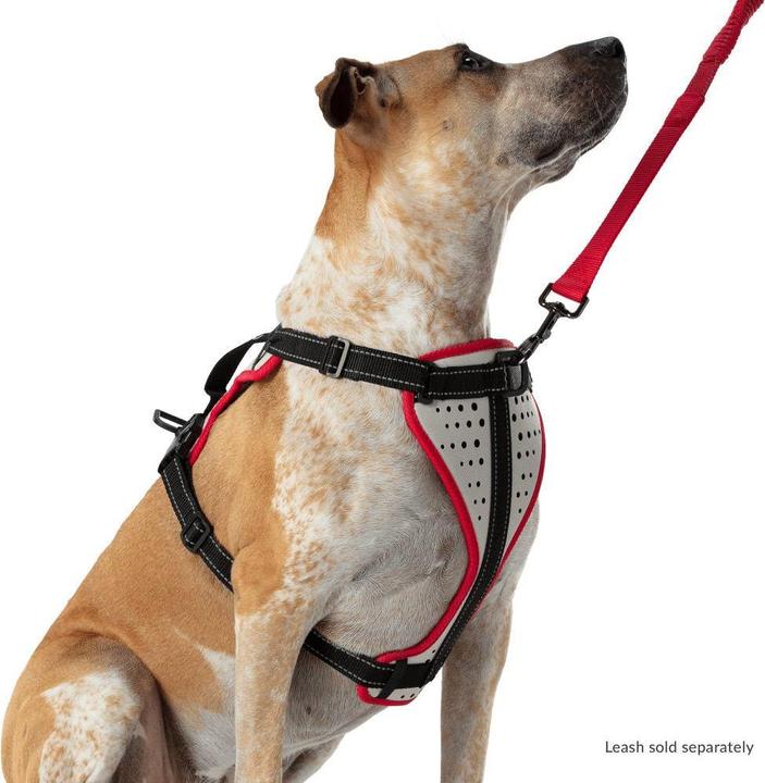 Produktbild Nathan K9 Reflective Dog Harness (L, Hund, Allgemein)