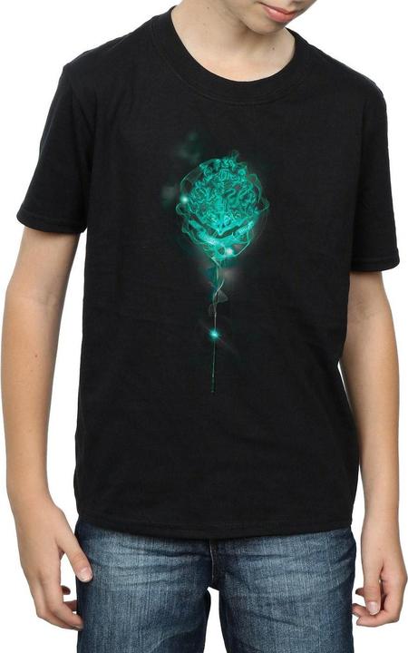 Produktbild Hogwarts Crest Mist TShirt Jungen (140, 146)