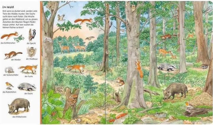 Image du produit Ravensburger Je cherche mes gros trucs : Les animaux du monde (Allemand, Susanne Gernhäuser)