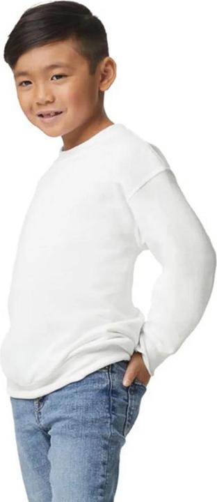 Image du produit Gildan - Sweat - Enfant (104)