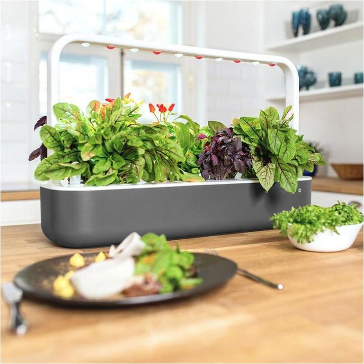 Produktbild Emsa Smart Garden 9 Click&Grow (21.50 cm)