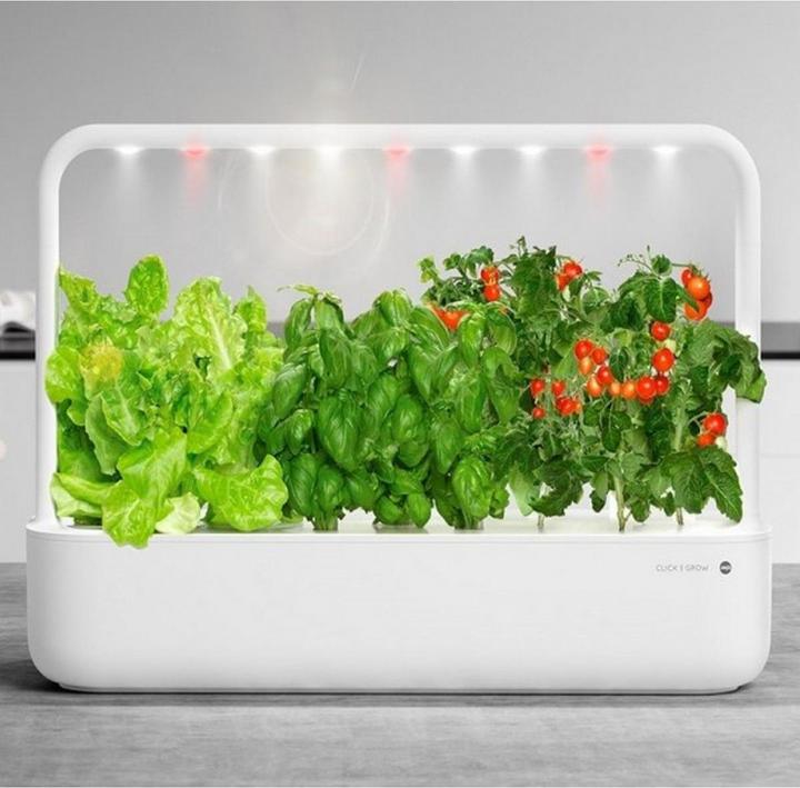 Produktbild Emsa Smart Garden 9 Click&Grow (21.50 cm)
