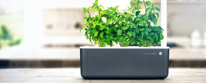 Produktbild Emsa Smart Garden 9 Click&Grow (21.50 cm)