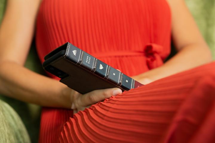 Image du produit TwelveSouth Étui en cuir BookBook pour iPhone 11 (6.1") Marron (Apple iPhone 11)