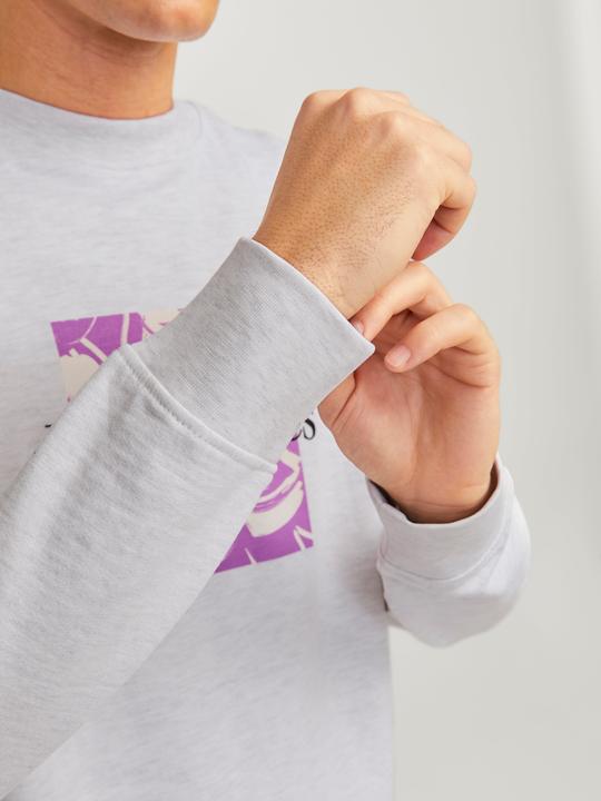 Actual product image Jack & Jones Printed sweatshirt with round neck Sweatshirt with round neck (S)