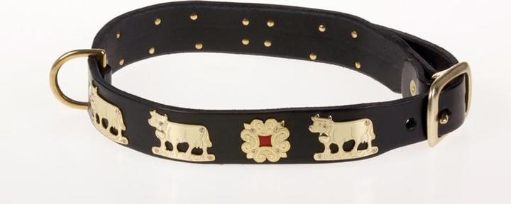 Image du produit Jenni Hemden Collier de chien d'Appenzell (Chien, Promenade)