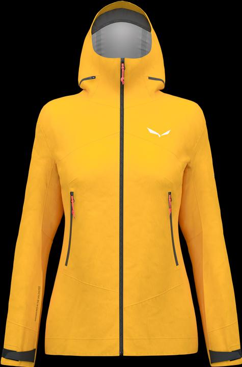 Image du produit Salewa VESTE ORTLES GTX 3L pour femme (38, M)