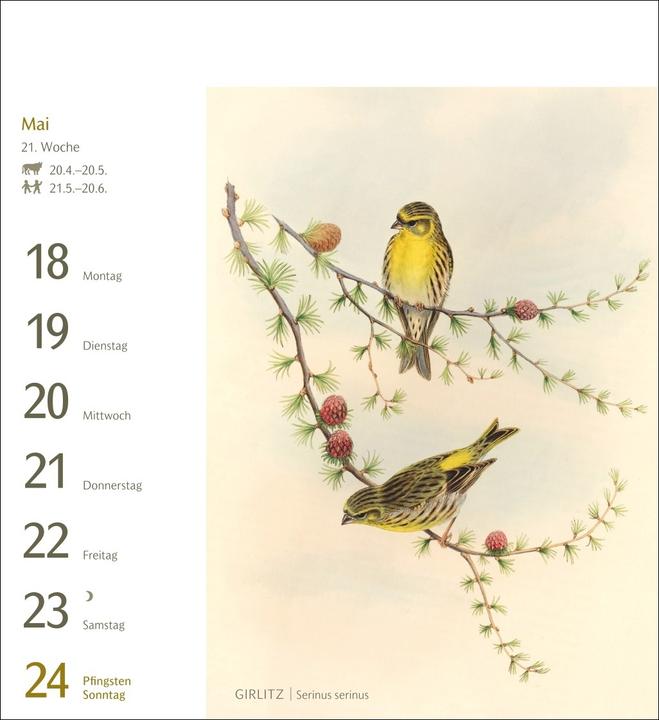 Produktbild Harenberg Vögel Postkartenkalender 2026 - Postkartenkalender mit 53 historischen Zeichnungen (Harter Einband, Deutsch)