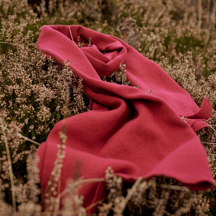 Image du produit Sidegren Hiems