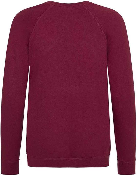 Produktbild Awdis Academy Schul Sweatshirt Rundhals (152)