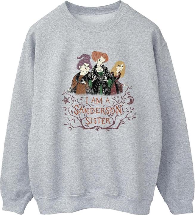 Image du produit Disney - Sweat HOCUS POCUS SANDERSON SISTER - Femme (L)