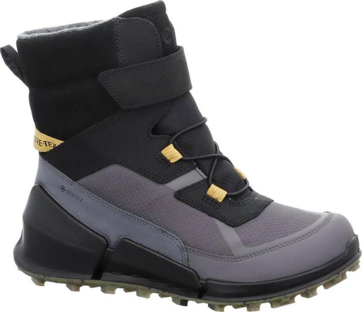 Produktbild Ecco Biom K2 GTX (31)