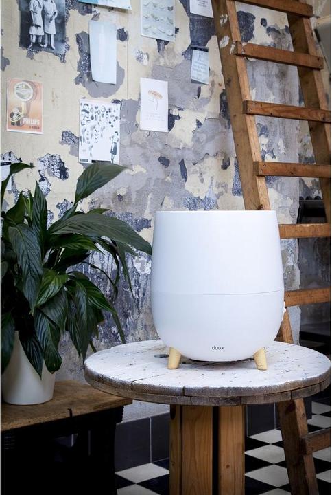 Immagine prodotto Duux Ovi (30 m²)