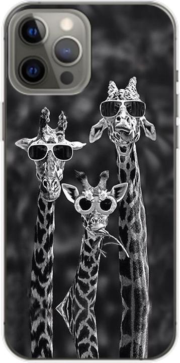 3 Giraffen