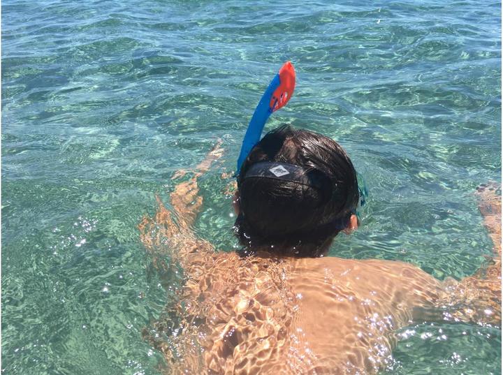 Productafbeelding Schildkröt Barbados